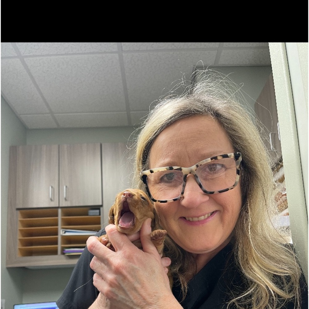 Meet your Posher, Stacey